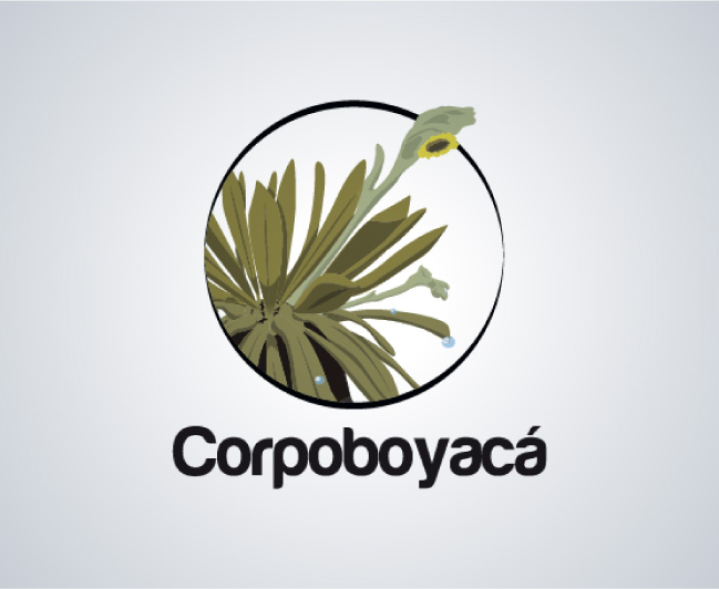 logo corpoboyaca